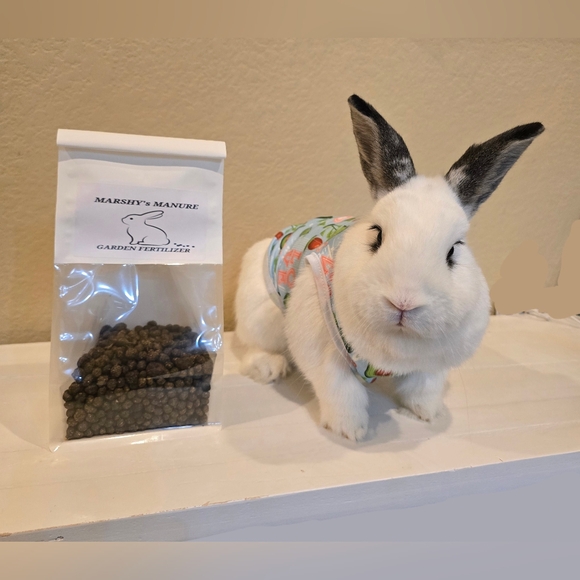 MARSHY's MANURE NATURAL GARDENING FERTILIZER - Picture 4 of 16